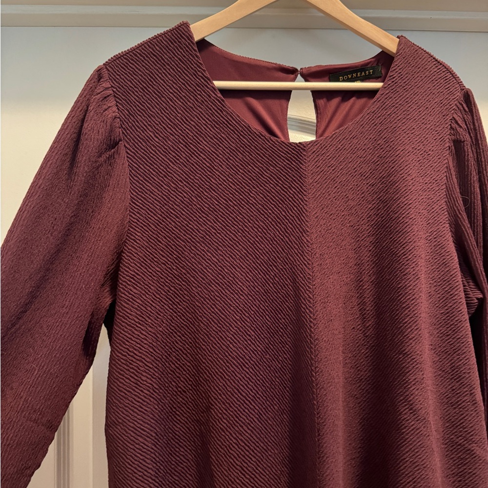 Plum/ Eggplant Purple A Line Midi Dress with Long Sleeves